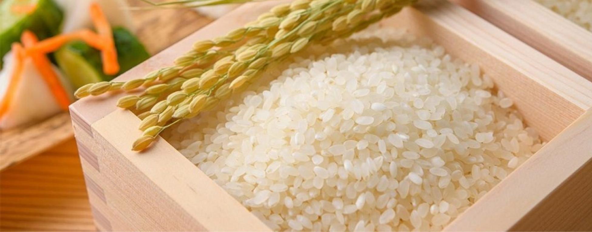 Thùng gạo Eurogold nhập khẩu 